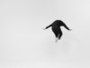 Movement film by Nomen Nescio
